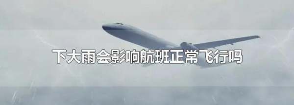 暴雨会影响航班起飞,暴雨天气飞机能正常起飞吗图8