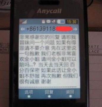 金巧巧二婚为啥嫁富豪(金巧巧老公身家45亿)(20)