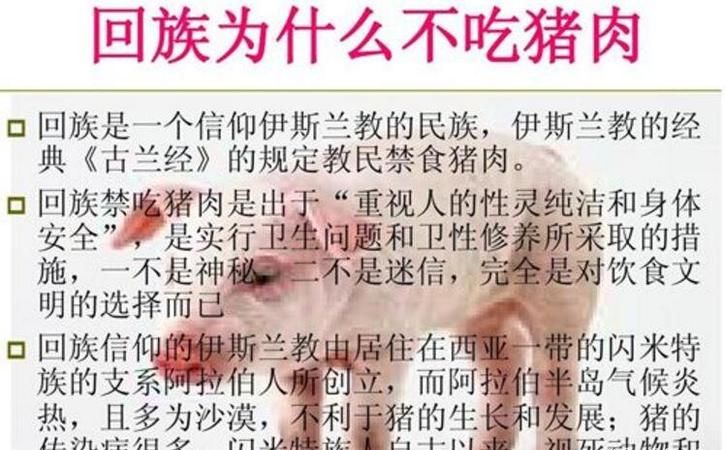 为什么回族人民不能吃猪肉