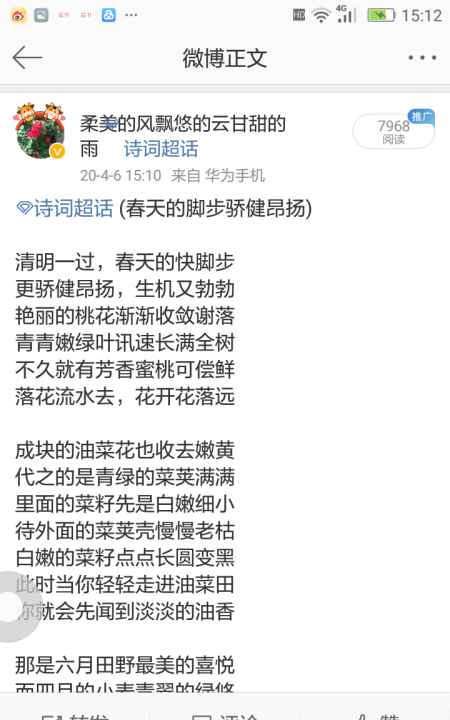 关于油菜花的唯美短句,描写油菜花的优美句子有哪些图5