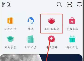 怎么申请鸿蒙系统,荣耀30pro怎么申请升级鸿蒙系统图3