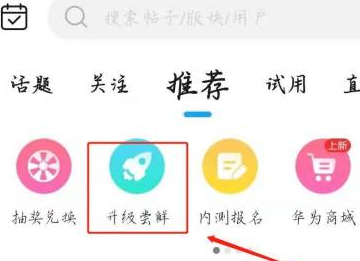 怎么申请鸿蒙系统,荣耀30pro怎么申请升级鸿蒙系统图4