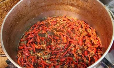 ​泾县美食一条街夜市,美食街在哪里