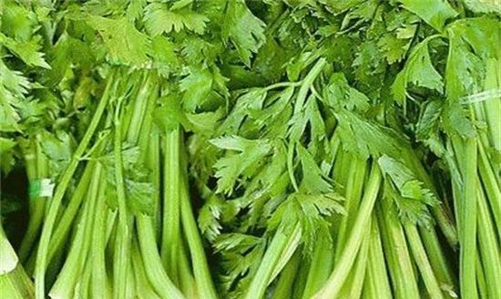 绿叶蔬菜有哪些品种,常见绿叶蔬菜名称大全图3