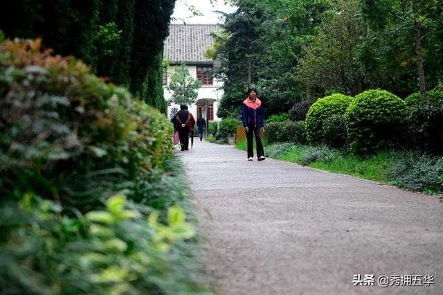 地铁线路图昆明5号线（5号线来了快上车）(17)