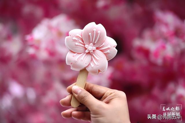 地铁线路图昆明5号线（5号线来了快上车）(12)