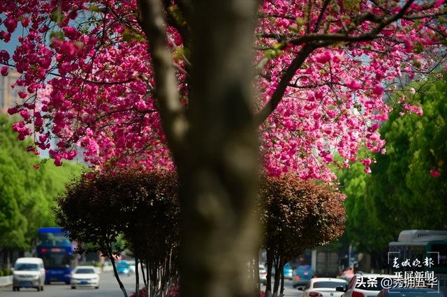 地铁线路图昆明5号线（5号线来了快上车）(7)