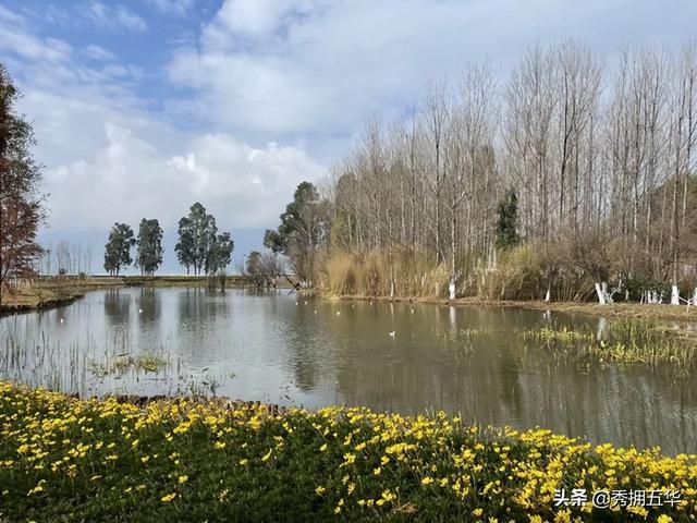 地铁线路图昆明5号线（5号线来了快上车）(26)