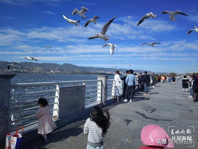 地铁线路图昆明5号线（5号线来了快上车）(23)