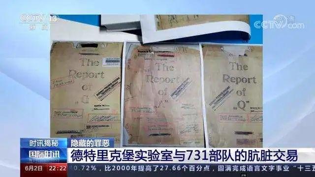 猴痘病毒的特征（猴痘罕见爆发全球超100例）(10)