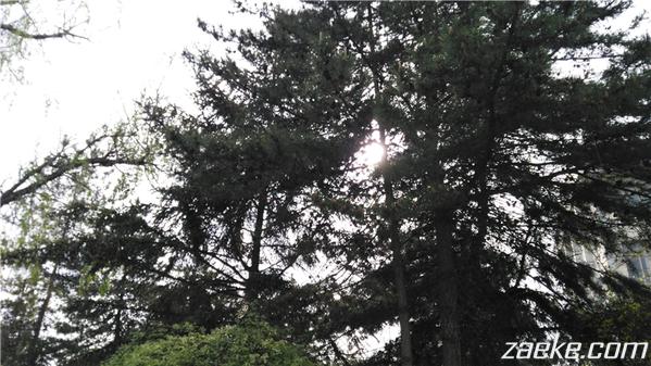 华为手机荣耀畅玩4x怎么样 华为荣耀畅玩4X电信版初体验(59)