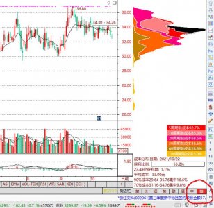 ​筹码分布图看哪个指标最精准（技术指标干货筹码分布）