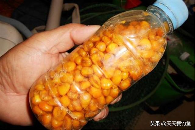 钓鲤鱼的特效饵料配方(4款自制饵料配方)(4)