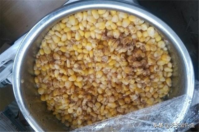 钓鲤鱼的特效饵料配方(4款自制饵料配方)(3)