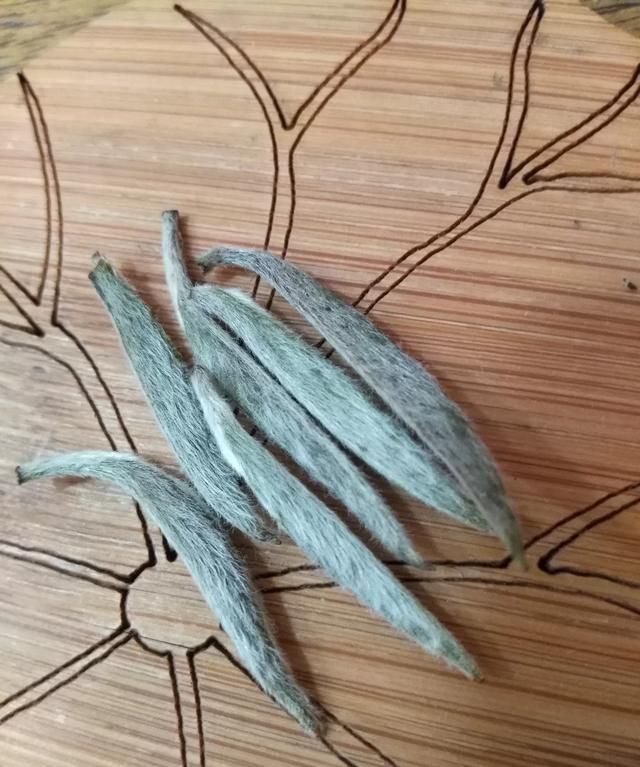 秋茶什么梗,鼎茗荟白茶什么级别?图3