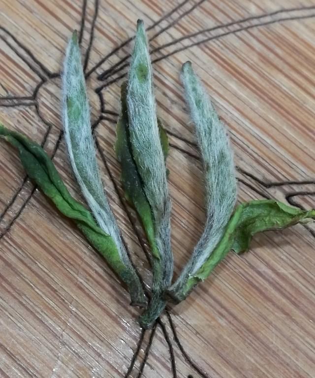 秋茶什么梗,鼎茗荟白茶什么级别?图5