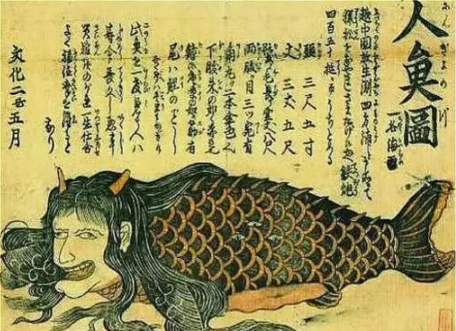深海底下真的有美人鱼吗（揭秘深海拍到美人鱼身影）(1)