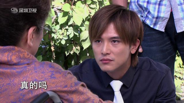 夏家三千金和爱情真善美区别(我们追过的夏家三千金)(10)