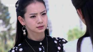 夏家三千金和爱情真善美区别(我们追过的夏家三千金)(2)