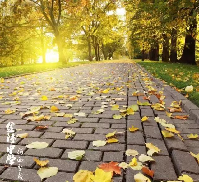 金陵中学本部与河西分校(金陵中学河西分校要在全国出名了)(9)