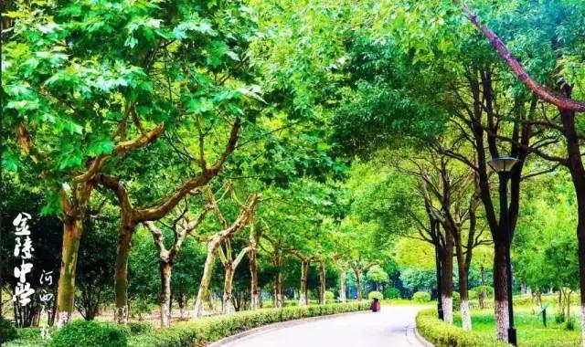 金陵中学本部与河西分校(金陵中学河西分校要在全国出名了)(29)