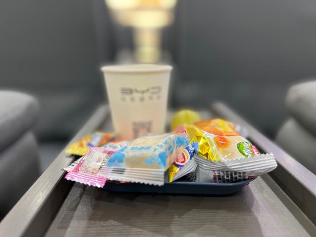 比亚迪海洋网售后服务接待流程(比亚迪海洋网重庆晟世绿迪售后服务中心正式运营)(6)