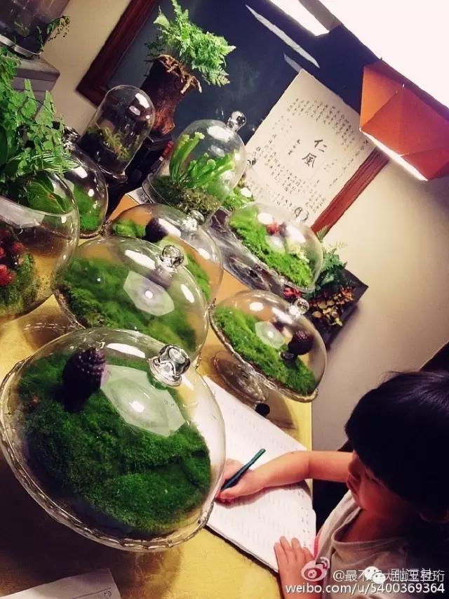 最强大脑王昱珩所有的挑战(最强大脑王昱珩实力虐日本)(13)