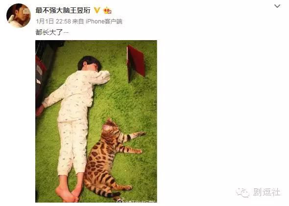 最强大脑王昱珩所有的挑战(最强大脑王昱珩实力虐日本)(16)