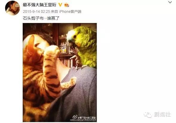 最强大脑王昱珩所有的挑战(最强大脑王昱珩实力虐日本)(18)