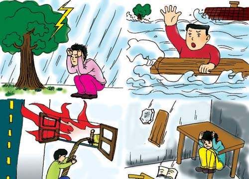 地震如何逃生图片,日本7.4级强震致人死亡图9