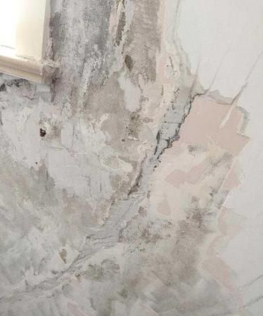 墙上的墙皮掉了怎么办