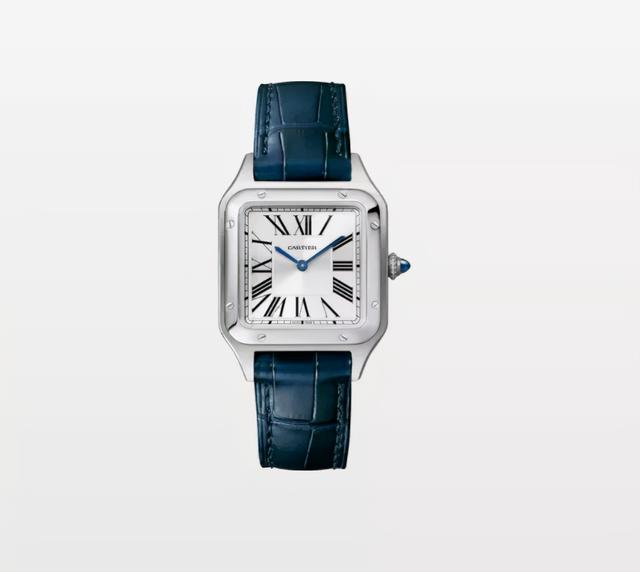 苹果手表watch功能大全(你真的需要一块苹果手表)(22)