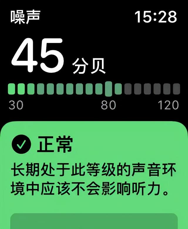 苹果手表watch功能大全(你真的需要一块苹果手表)(15)