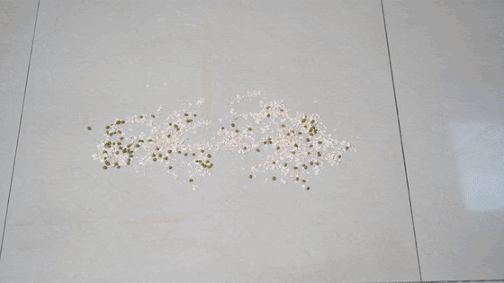 自动清洗家用智能擦地机(智能双刷吸拖一体)(13)