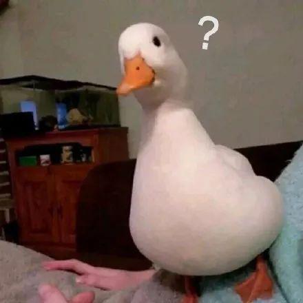 现在的刘涛怎么样了(刘涛这次真离了)(45)