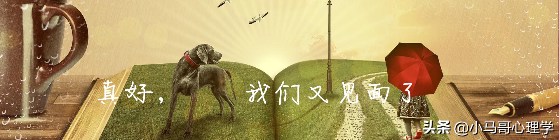 所有的相遇都将是久别重逢(世间所有的相遇)(1)