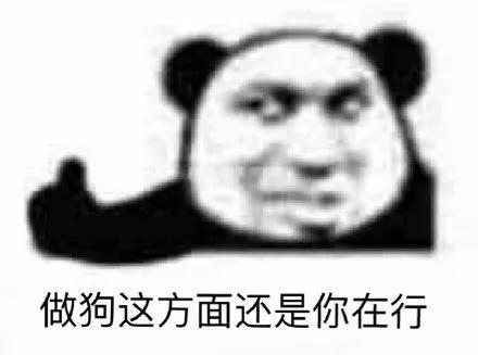 考古博物馆洛阳铲（考古的洛阳铲一挥）(21)