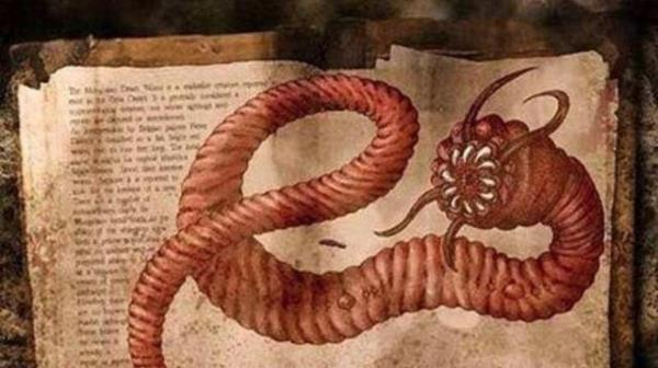 博比特虫有毒,博比特虫有毒吗图5