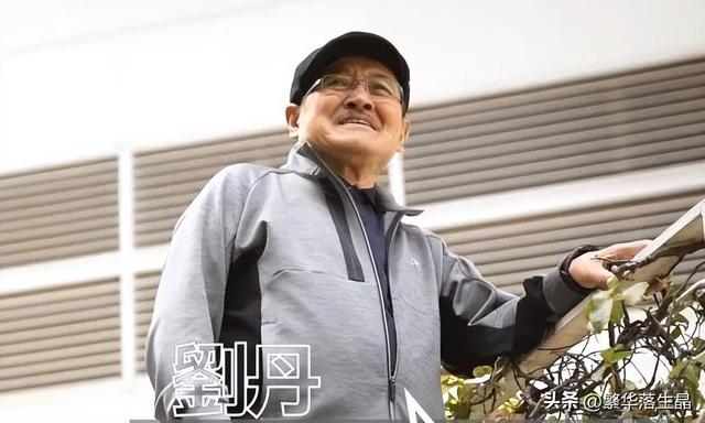 刘丹回应刘恺威杨幂因小糯米翻脸(杨幂和刘恺威离婚4年)(6)