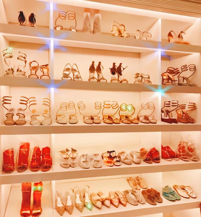 蔡天真百科(蔡天凤惨死后留下奢侈品引热议)(5)