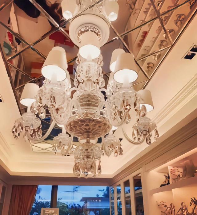 蔡天真百科(蔡天凤惨死后留下奢侈品引热议)(3)