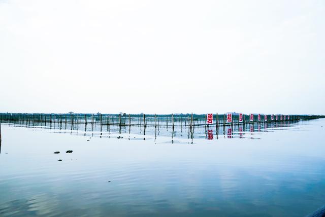 阳澄湖大闸蟹哪个地方的好吃(阳澄湖的大闸蟹一捞起来就能吃)(6)