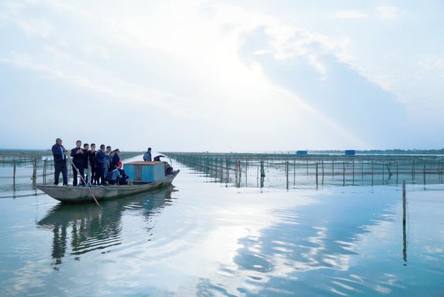 阳澄湖大闸蟹哪个地方的好吃(阳澄湖的大闸蟹一捞起来就能吃)(3)