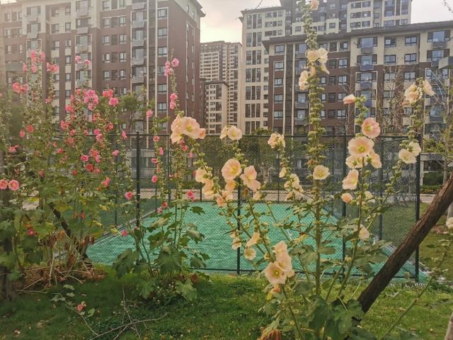 如何才是正确的夫妻相处之道(夫妻相处之道教你3招)(4)