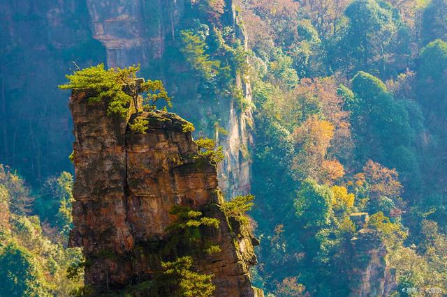 阿凡达悬浮山的取景地(阿凡达里的悬浮山)(5)