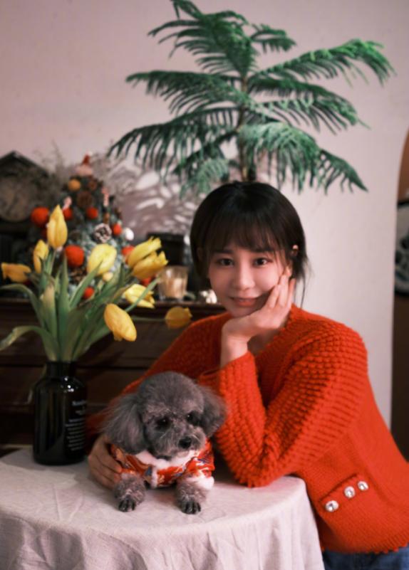 演员海陆简历(新一代华语地区知名女艺人)(1)