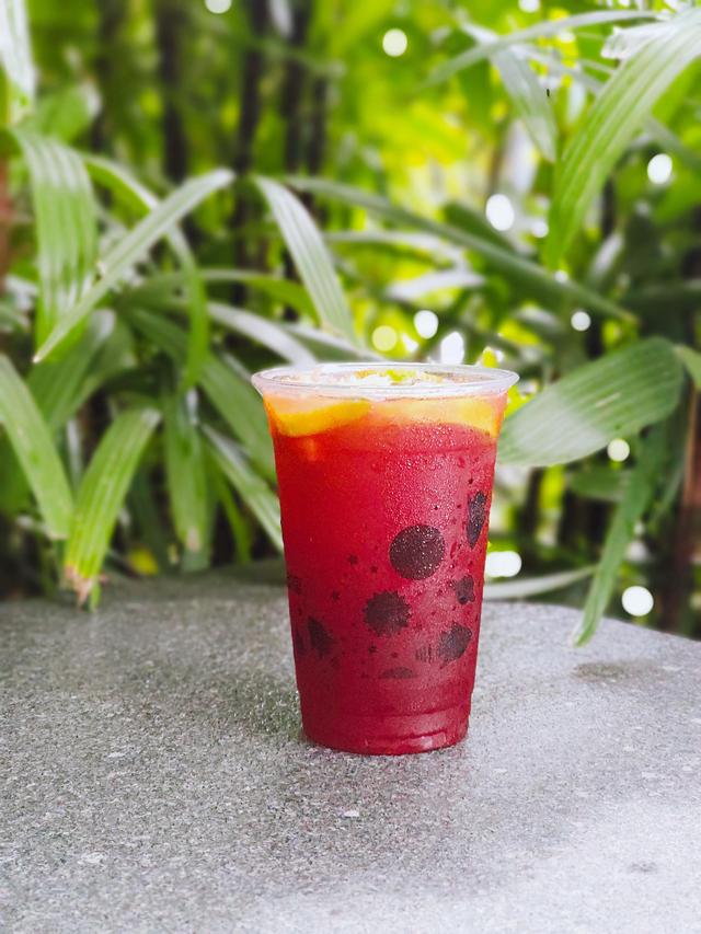 新手学摄影入门基础教程(零基础摄影入门指南)(12)