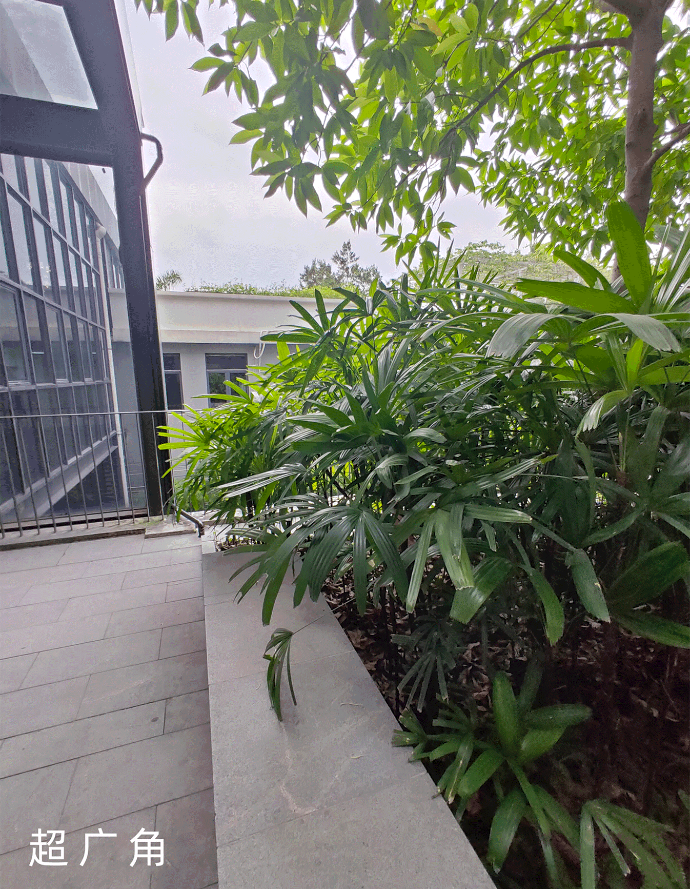 新手学摄影入门基础教程(零基础摄影入门指南)(6)