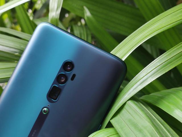 新手学摄影入门基础教程(零基础摄影入门指南)(5)