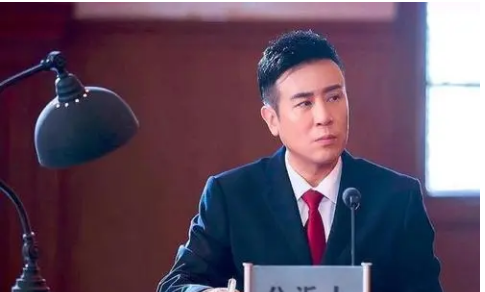 巡回检察组剧情介绍,巡回检察组剧情介绍图2